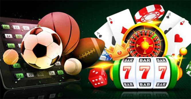 Discover the Excitement Casinos That Reward Your Loyalty Every Week
